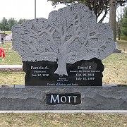 Mott