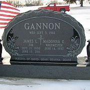 Cannon1