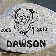 Dawson Pet