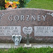 Gorzney Slant