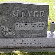 Meyer1