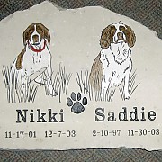 Nikki Saddie Pet